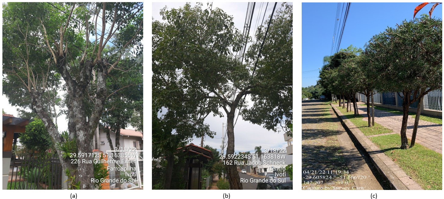 Distanciamento da fiação